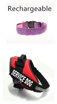 Rechargeable LED Pet Collar