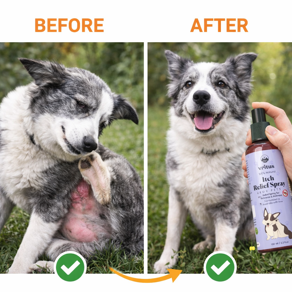 Vritus Itch Relief Pet Combo