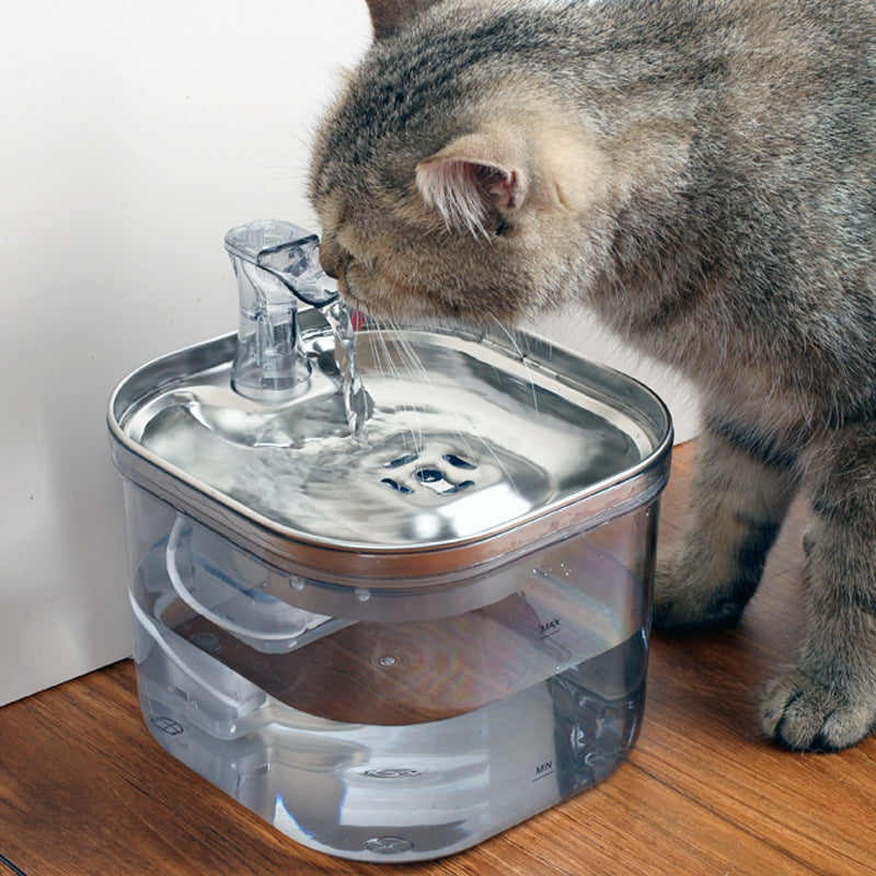 Transparent Pet Water Fountain