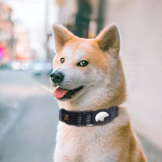 BearSmart™ Printed Nylon Dog Collar
