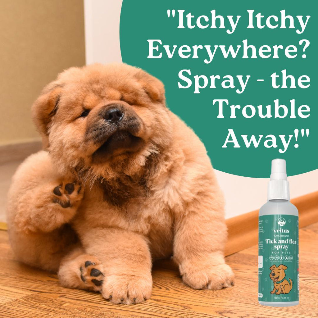 Tick & Flea Spray + Dry Bath