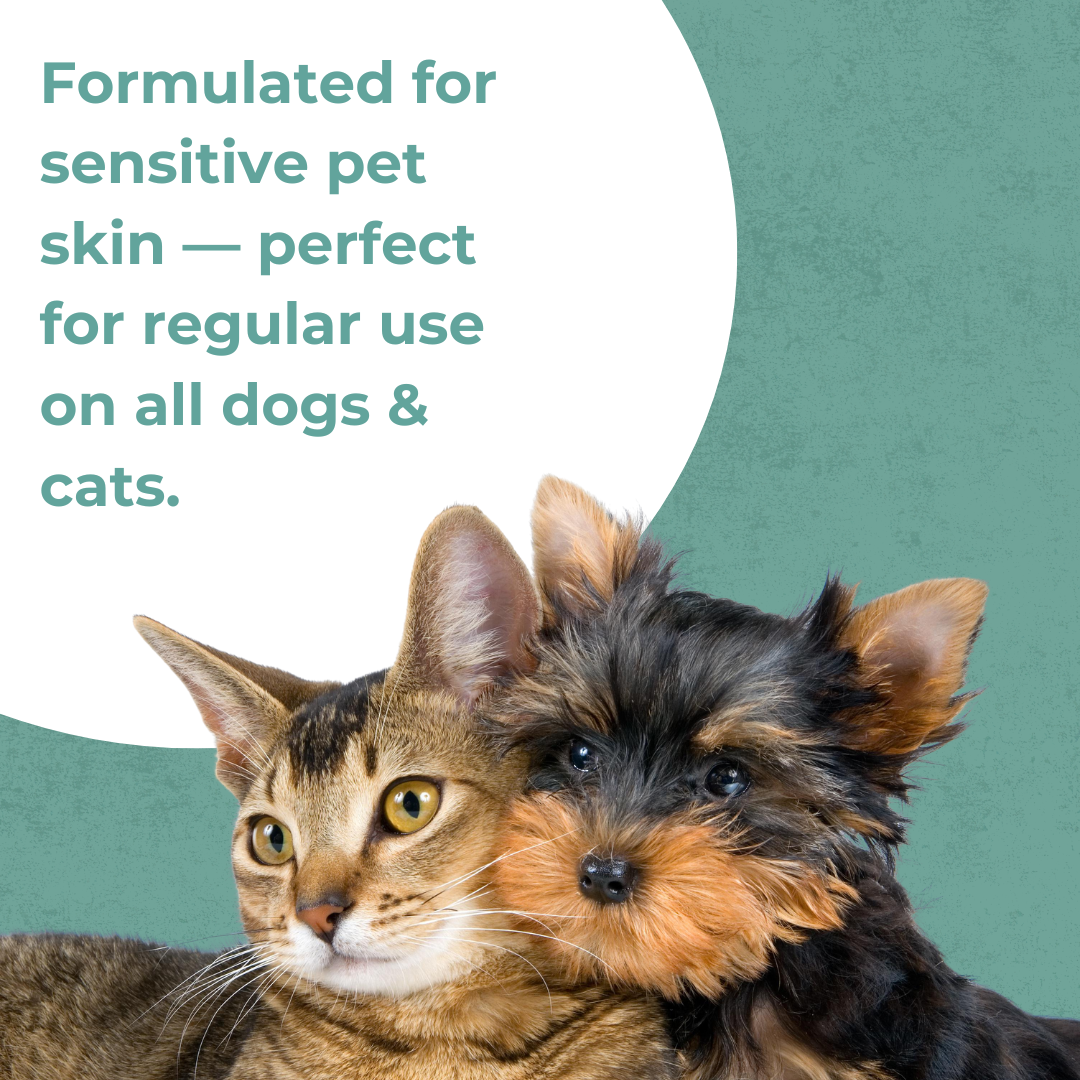 Aloe Vera With Neem Herbal Shampoo