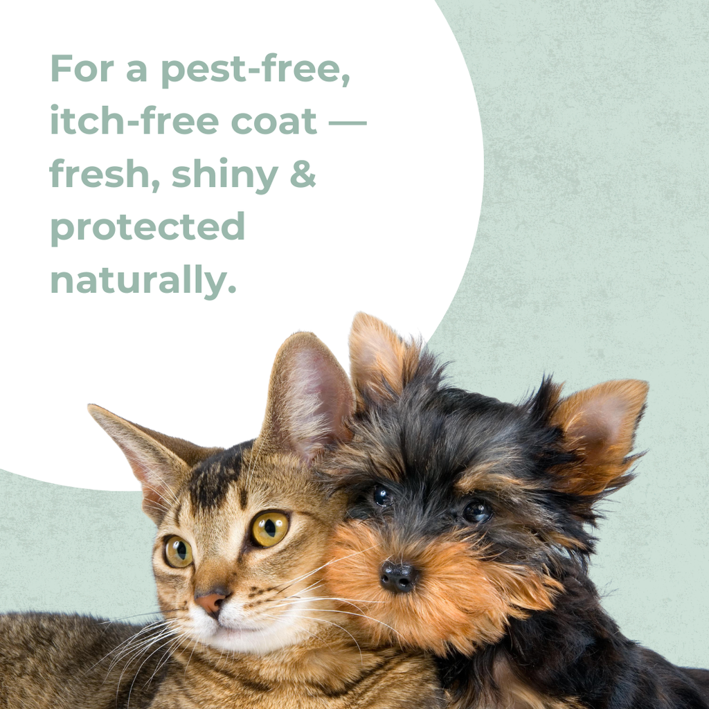 Tick and Flea Spray